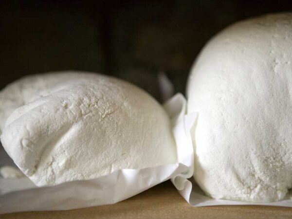 Ricotta da sacheto della Val Leogra bianco